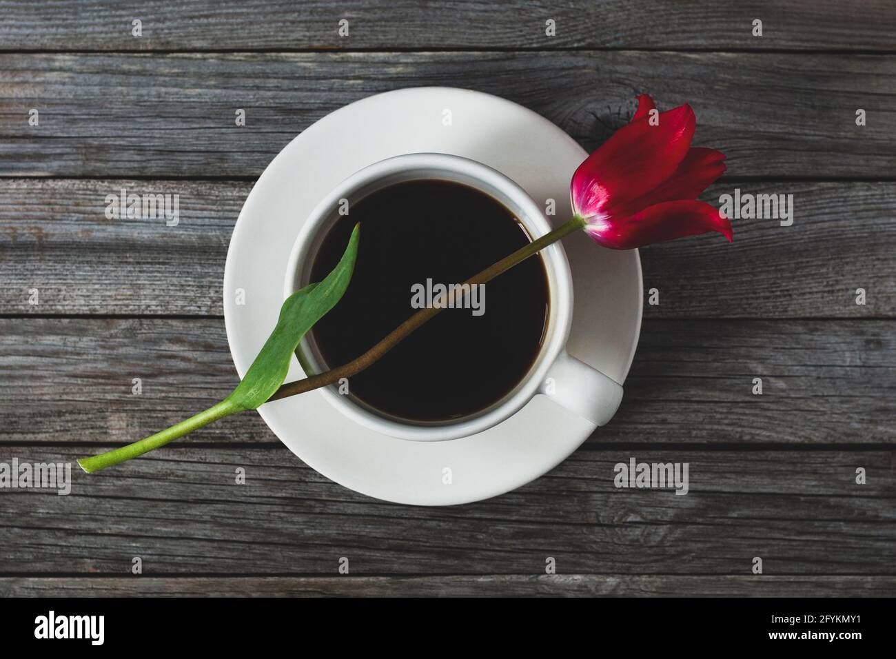 Tulipano rosso fiore in cima alla tazza di caffè, amore caffè concetto, romantica Dreamy still life Foto Stock