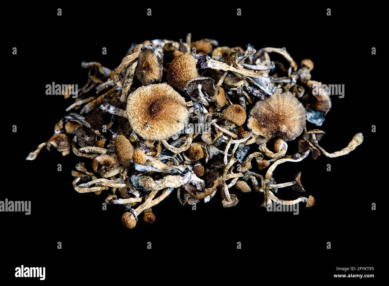 Un mucchio di funghi magici secchi Foto Stock