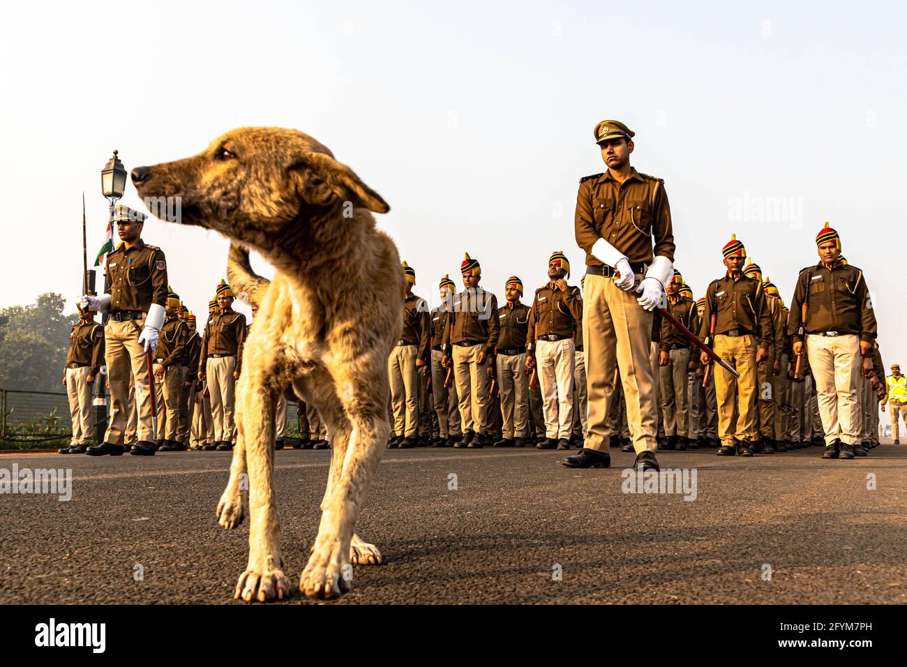 un cane è seduto sulla strada e la polizia di delhi durante le loro prove per il giorno della repubblica indiana a delhi. Foto Stock