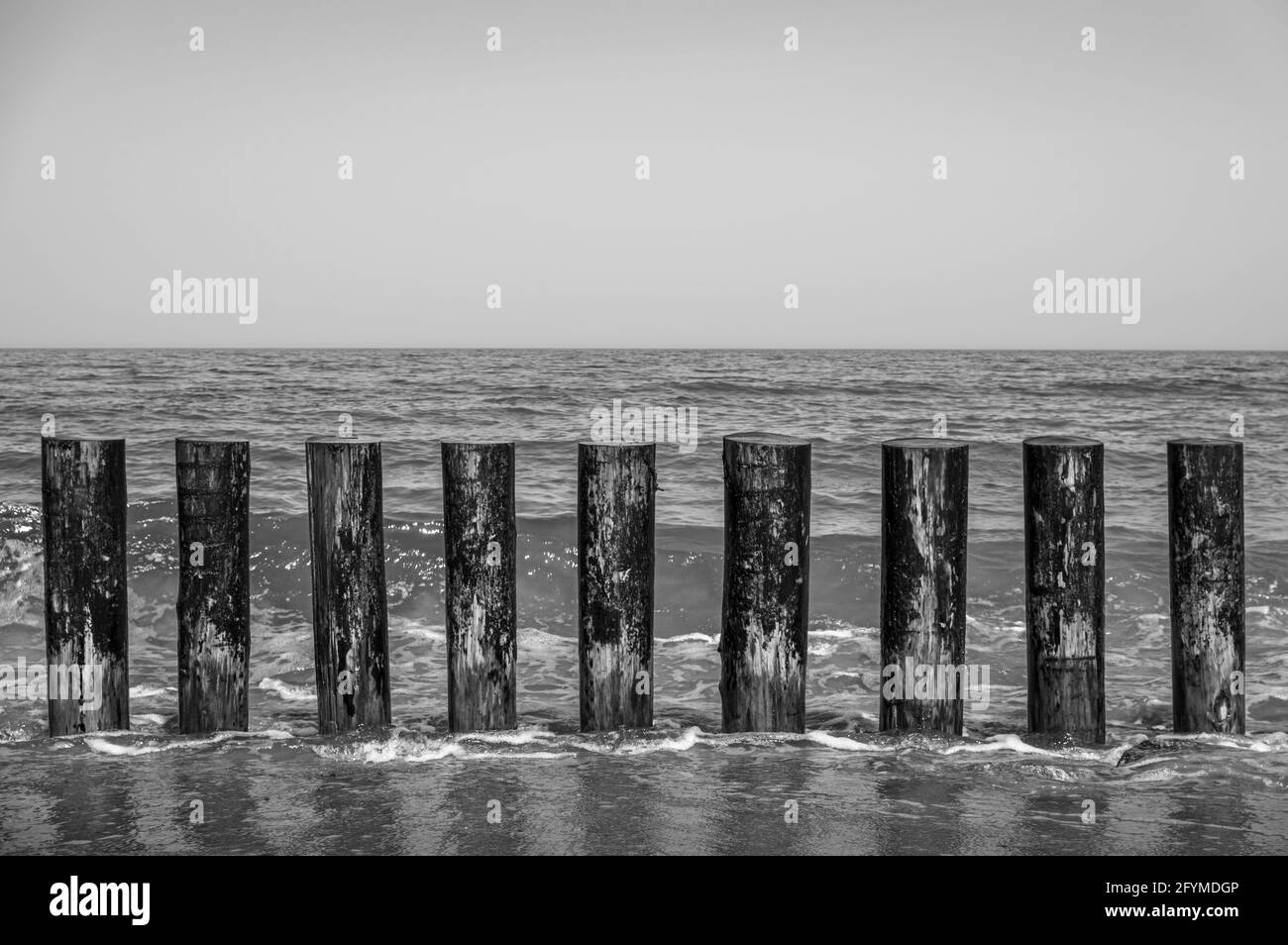 Frangiflutti di legno sulla riva contro l'orizzonte nella città di Svetlogorsk, Russia. Bianco e nero. Foto Stock