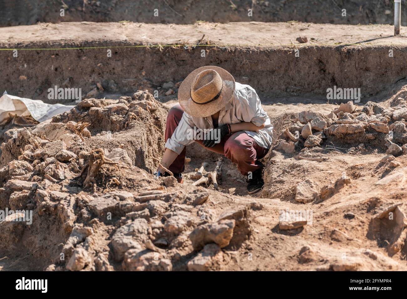 Archeologo scavare scheletro Foto Stock
