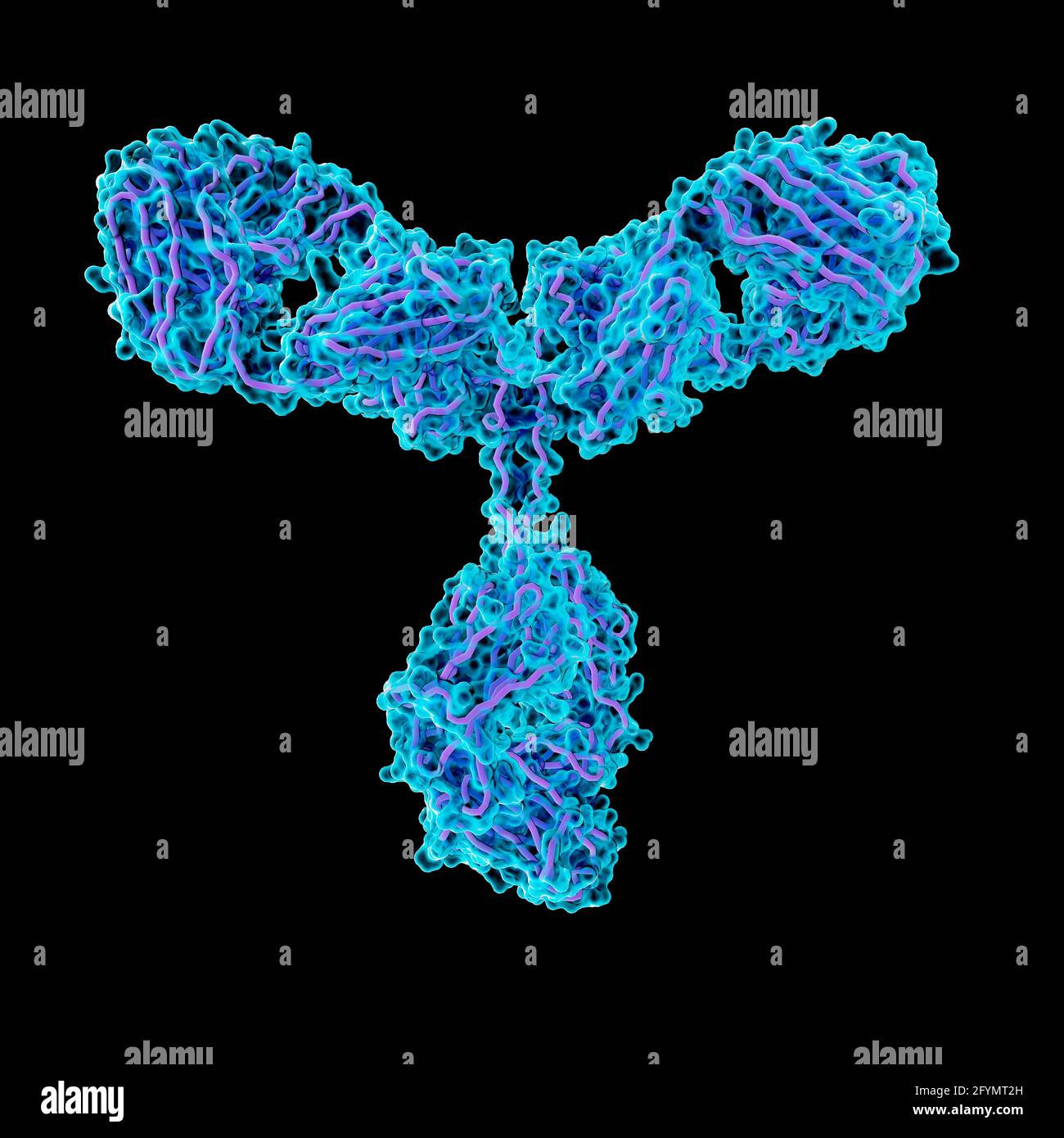 Anticorpo, illustrazione Foto Stock