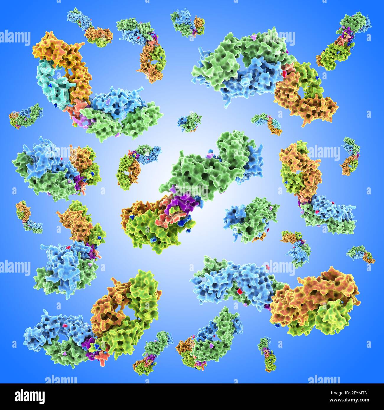 Anticorpi HIV complessati con peptidi, illustrazione Foto Stock
