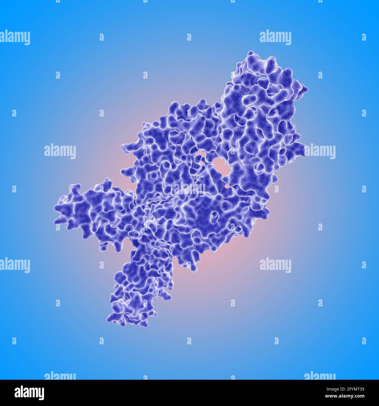 Autoanticorpo dell'artrite reumatoide, illustrazione Foto Stock