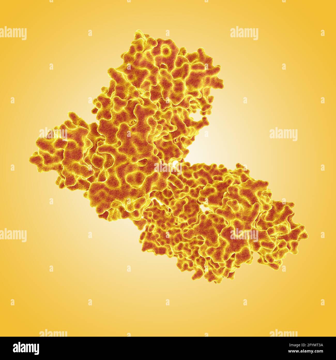 Anticorpo SARS, illustrazione Foto Stock