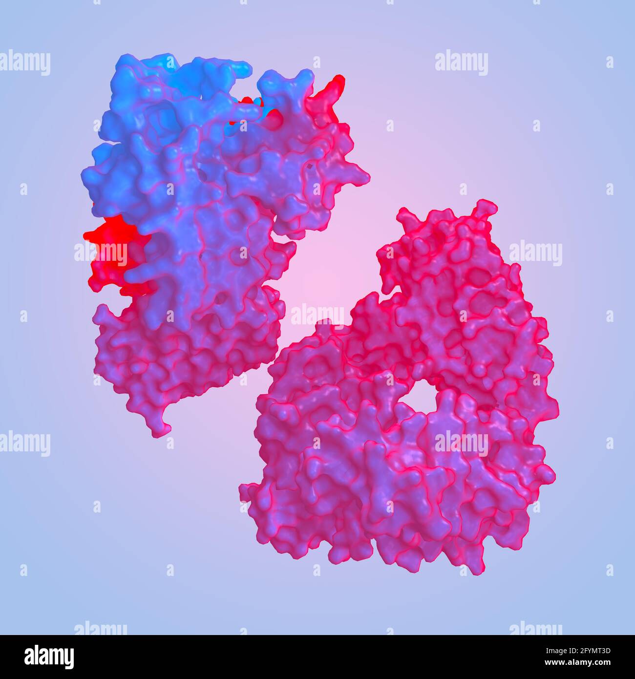 Anticorpo SARS, illustrazione Foto Stock