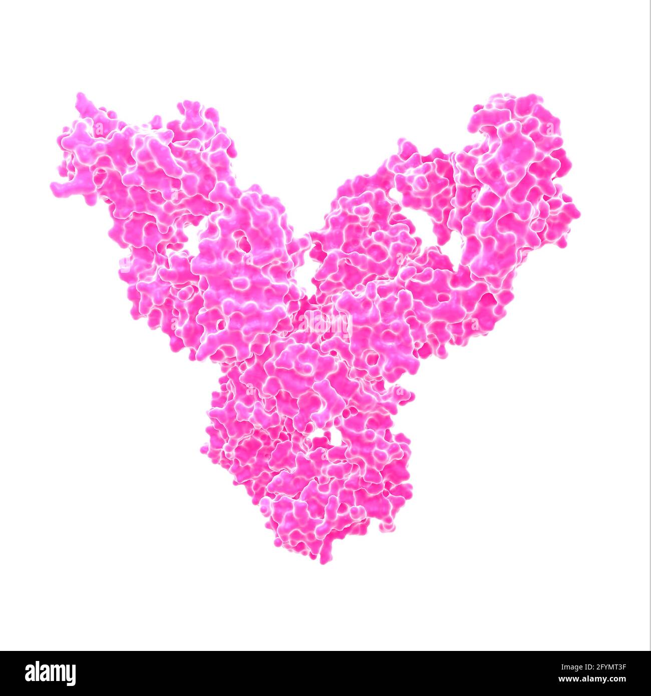 Autoanticorpo dell'artrite reumatoide, illustrazione Foto Stock