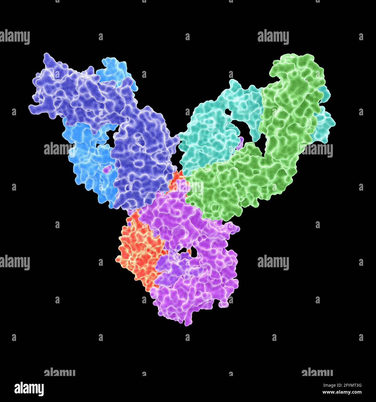 Autoanticorpo dell'artrite reumatoide, illustrazione Foto Stock