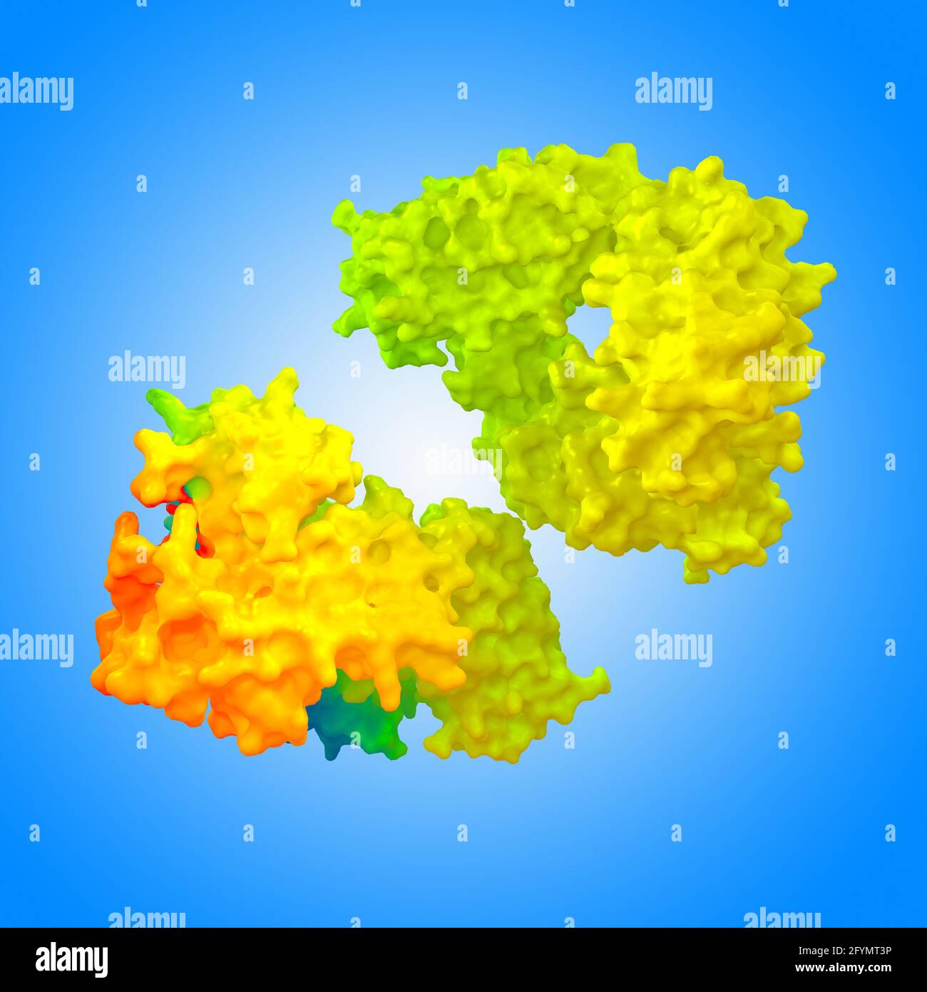 Anticorpo SARS, illustrazione Foto Stock