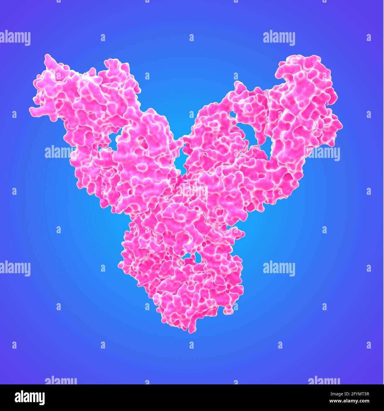 Autoanticorpo dell'artrite reumatoide, illustrazione Foto Stock