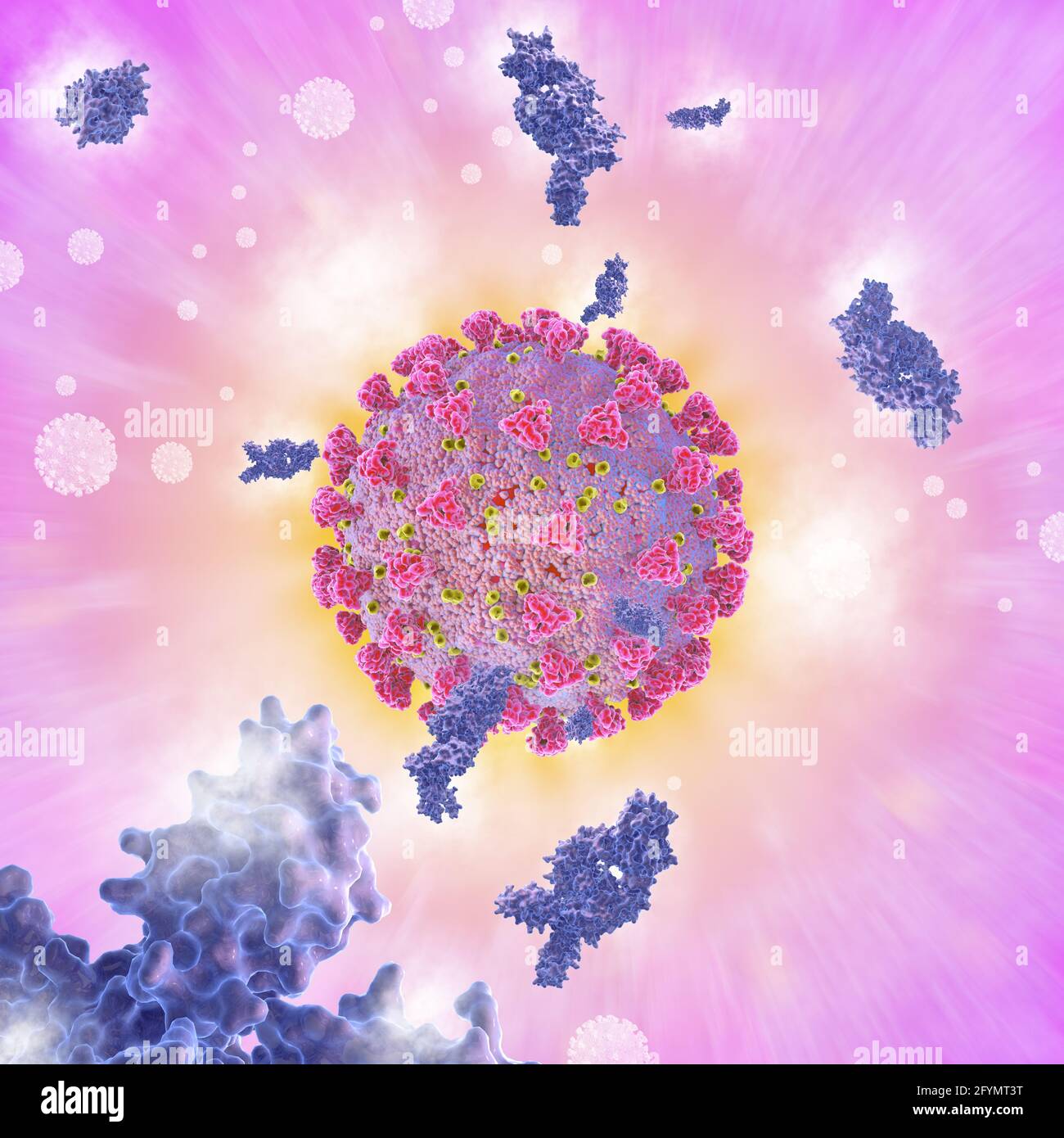 Anticorpi e coronavirus covid-19, illustrazione Foto Stock