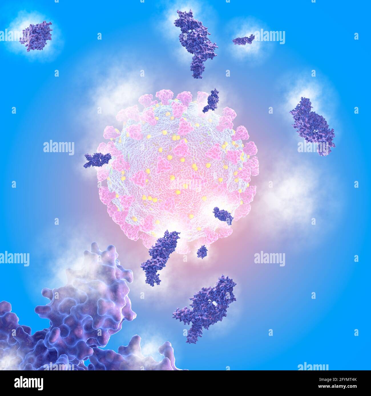Anticorpi e coronavirus covid-19, illustrazione Foto Stock