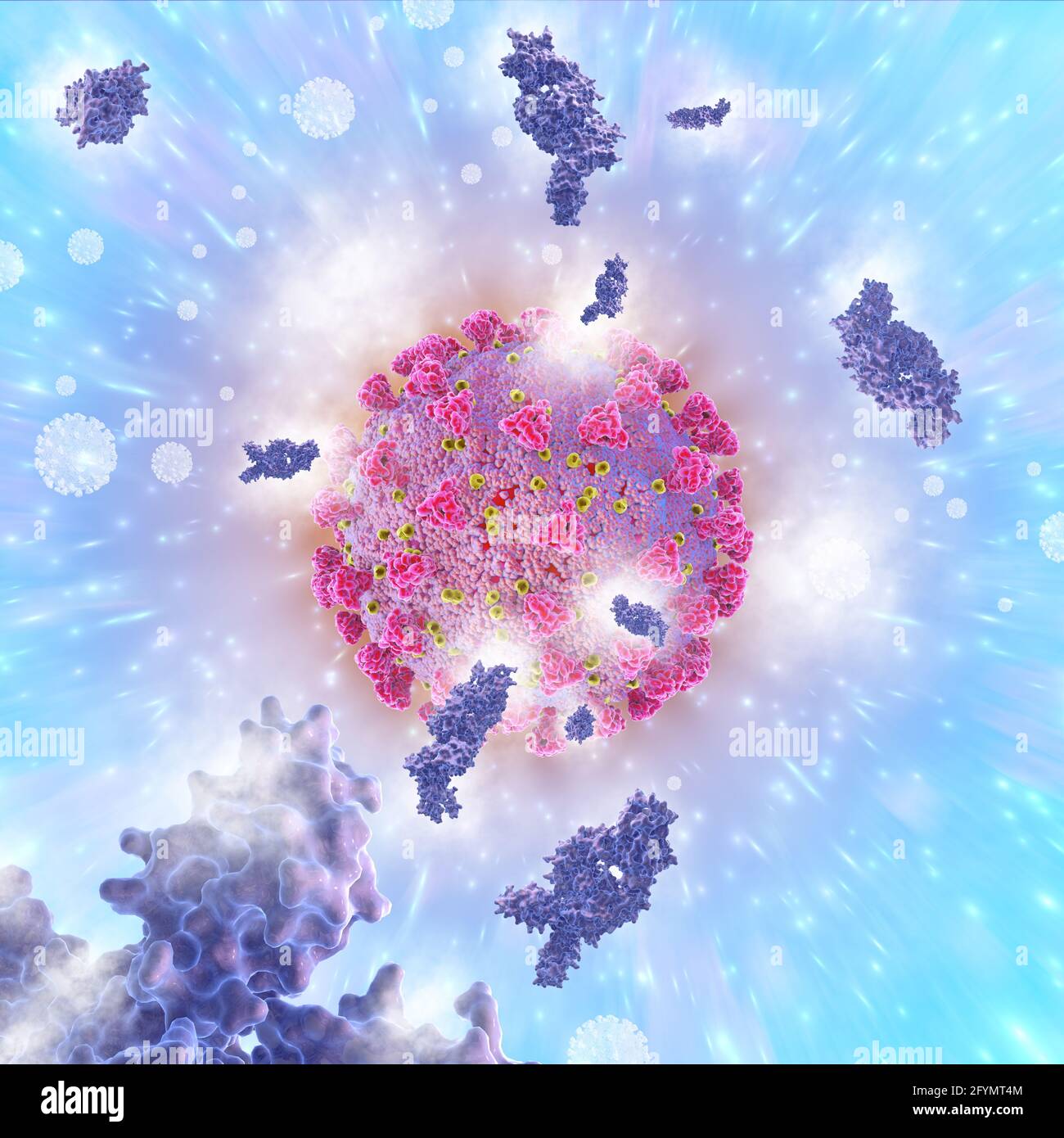Anticorpi e coronavirus covid-19, illustrazione Foto Stock
