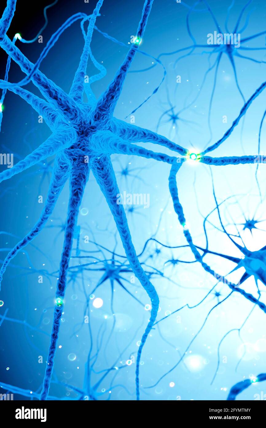 Illustrazione di neuroni o cellule cerebrali Foto Stock