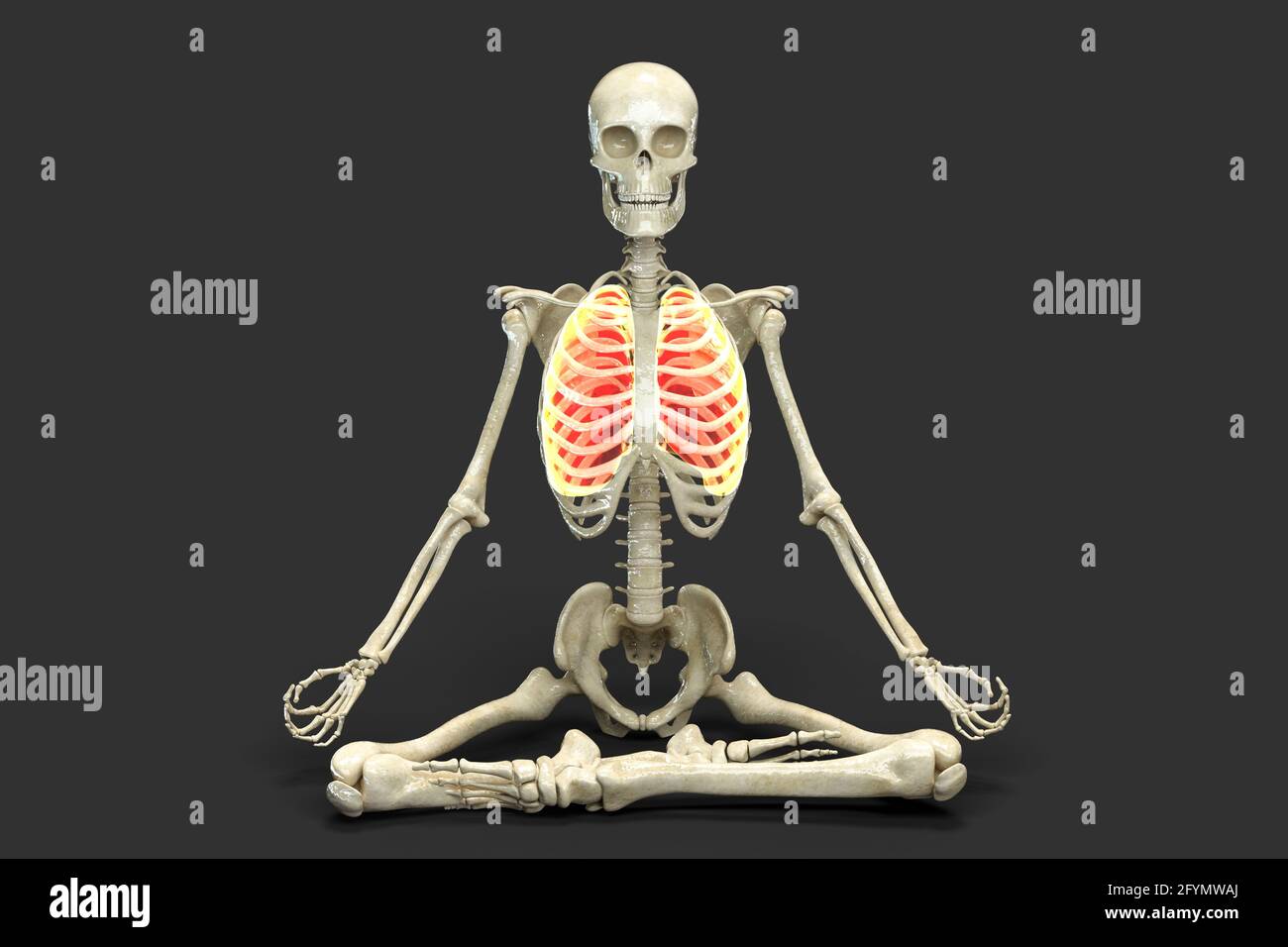 Scheletro in posa Lotus yoga, illustrazione Foto Stock