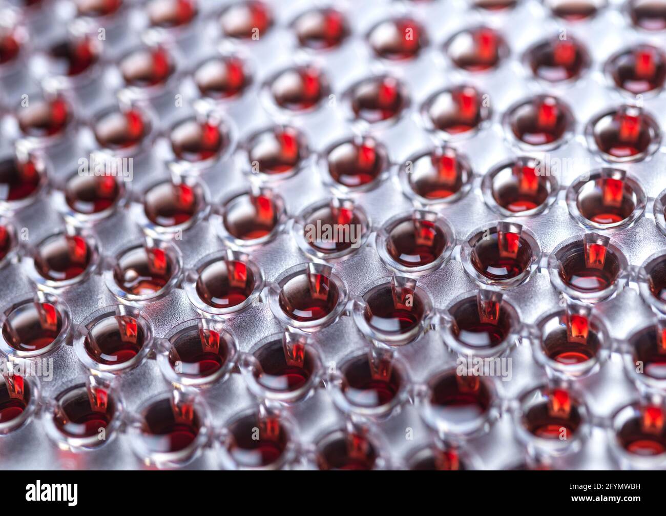 Analisi del sangue Foto Stock