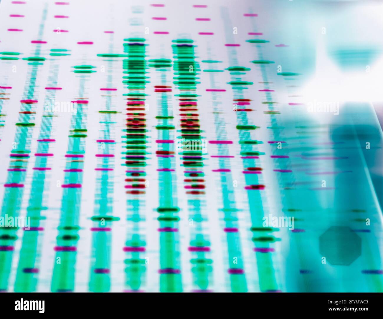 Ricerca del DNA Foto Stock