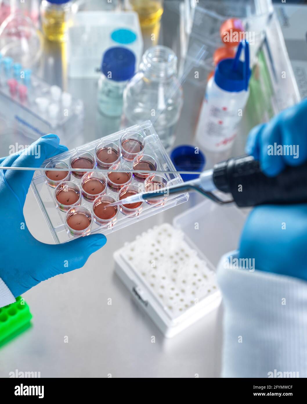 Ricerca di biologia cellulare Foto Stock