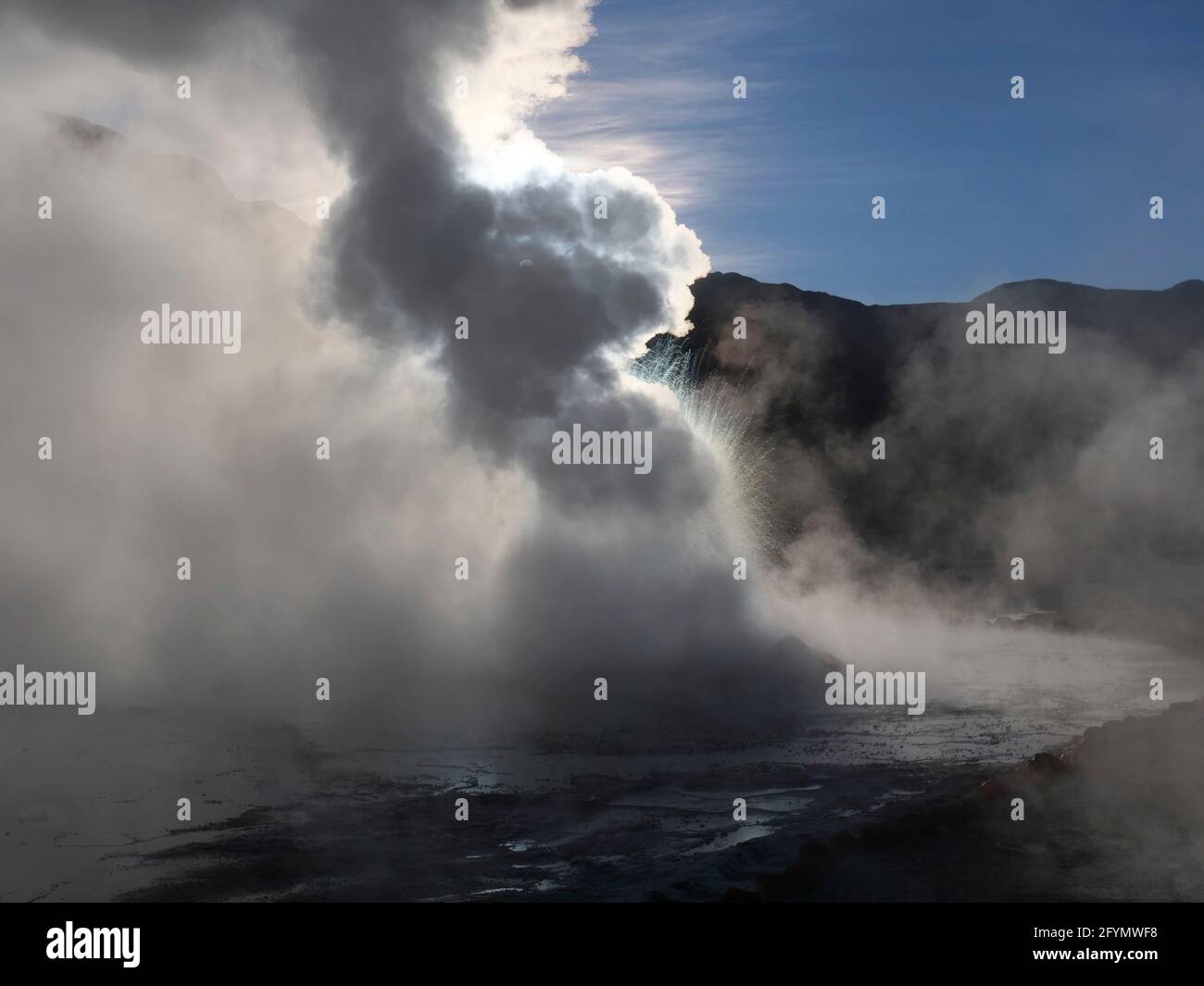 Geyser a vapore a El Tatio, Cile Foto Stock