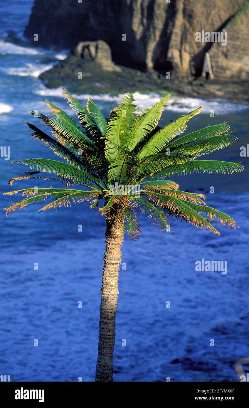 NUOVA CALEDONIA. BIG ISLAND, REGIONE DI BOURAIL. LA ROCHE PERCEE BEACH Foto Stock