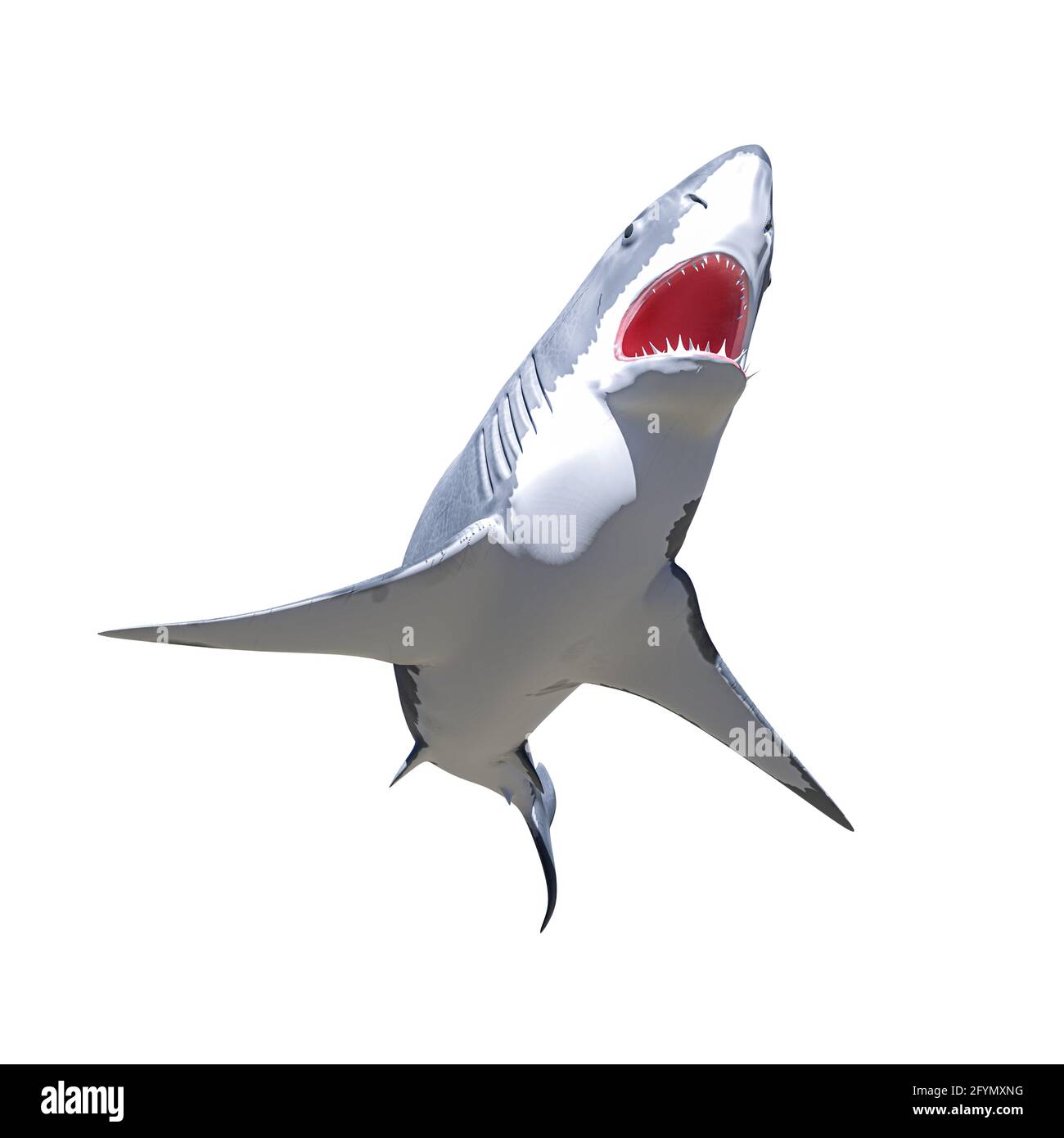 squalo bianco isolato su sfondo bianco illustrazione 3d Foto Stock