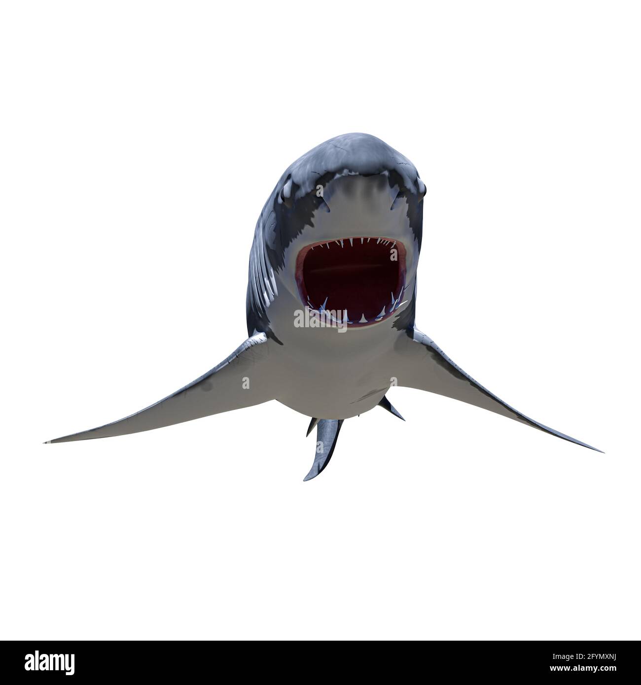 squalo bianco isolato su sfondo bianco illustrazione 3d Foto Stock