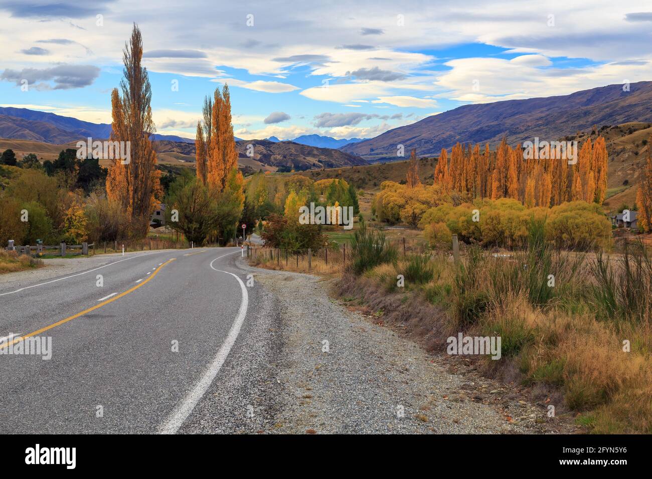 Paesaggio autunnale nella Valle di Cardrona, nell'Isola del Sud della Nuova Zelanda. La strada tra Queenstown e Wanaka attraversa questa zona panoramica Foto Stock