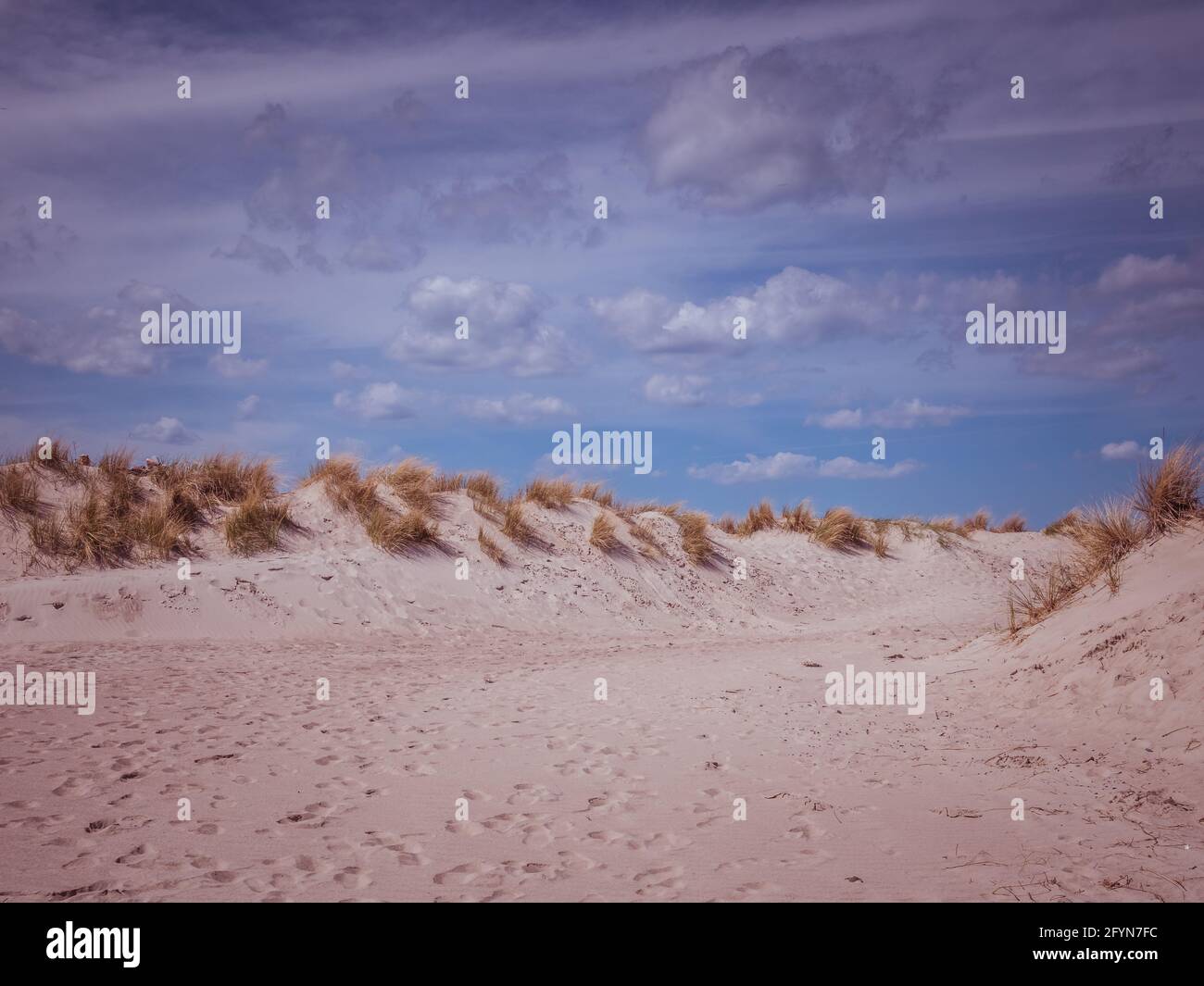 Dune di sabbia sulla spiaggia di Warnemuende sul Baltico Mare Foto Stock