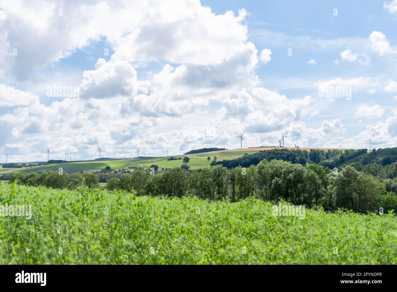 Un'altra giornata calda ma senza parole dalla bellezza assoluta che ci circondava, camminando lungo i sentieri tra la lussureggiante campagna della Francia. Foto Stock