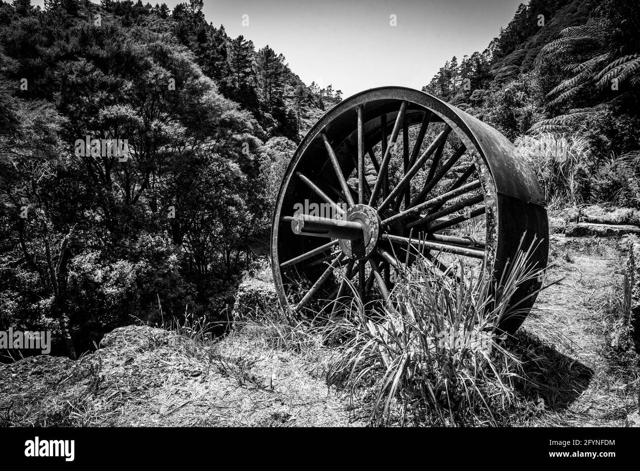 Resti di una vecchia batteria di stampaggio a Karangahake del passato tempo di corsa dell'oro, penisola di Coromandel, Nuova Zelanda Foto Stock