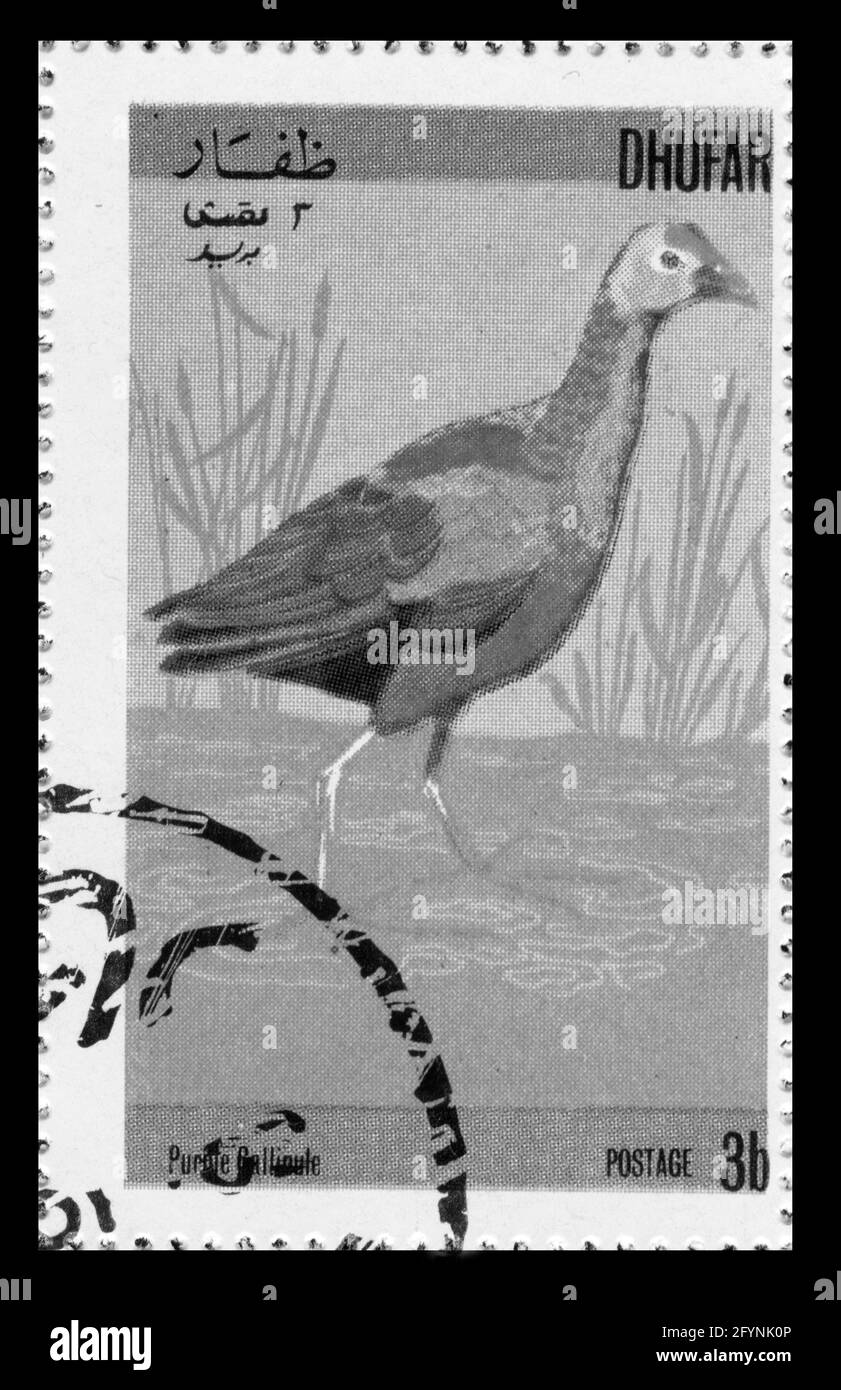 Stampa timbro in Dhufar, uccelli Foto Stock