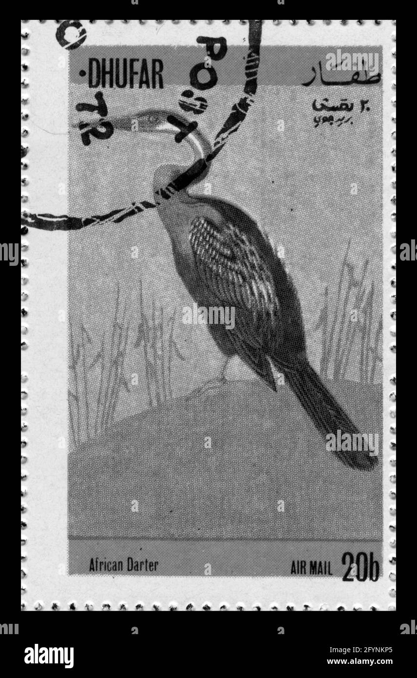 Stampa timbro in Dhufar, uccelli Foto Stock