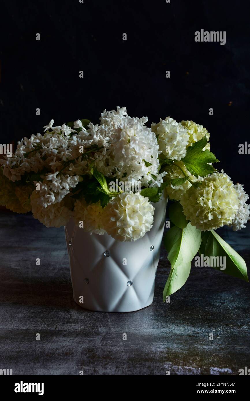 Composizione di un bouquet di fiori bianchi di viburno e lilla, in un contenitore bianco su sfondo scuro. Foto Stock
