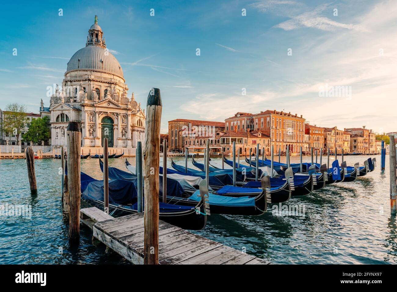 Gondole e Santa Maria della Salute famosa chiesa, Venezia, Italia Foto Stock