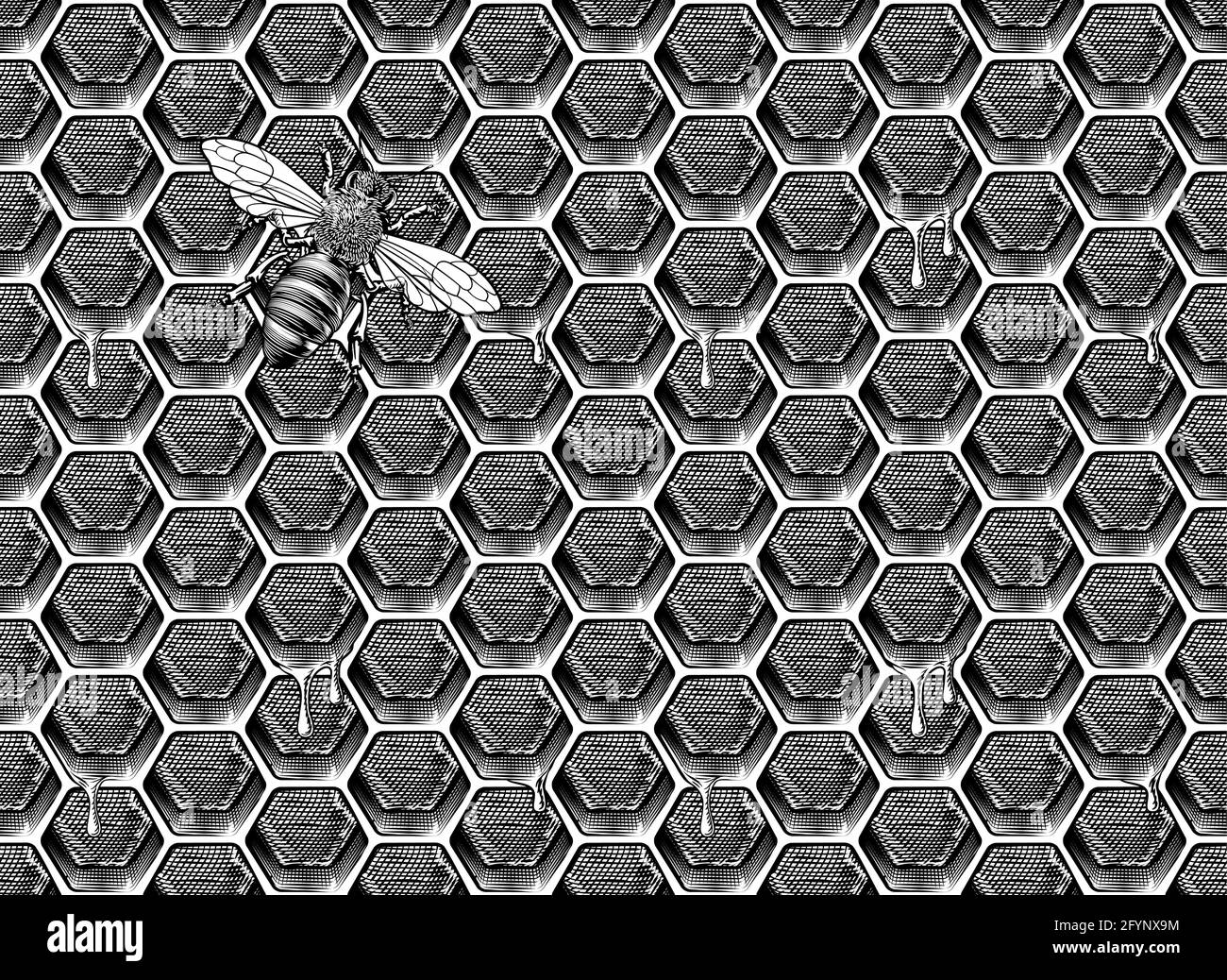 Ape Honeycomb modello sfondo disegno di miele Illustrazione Vettoriale