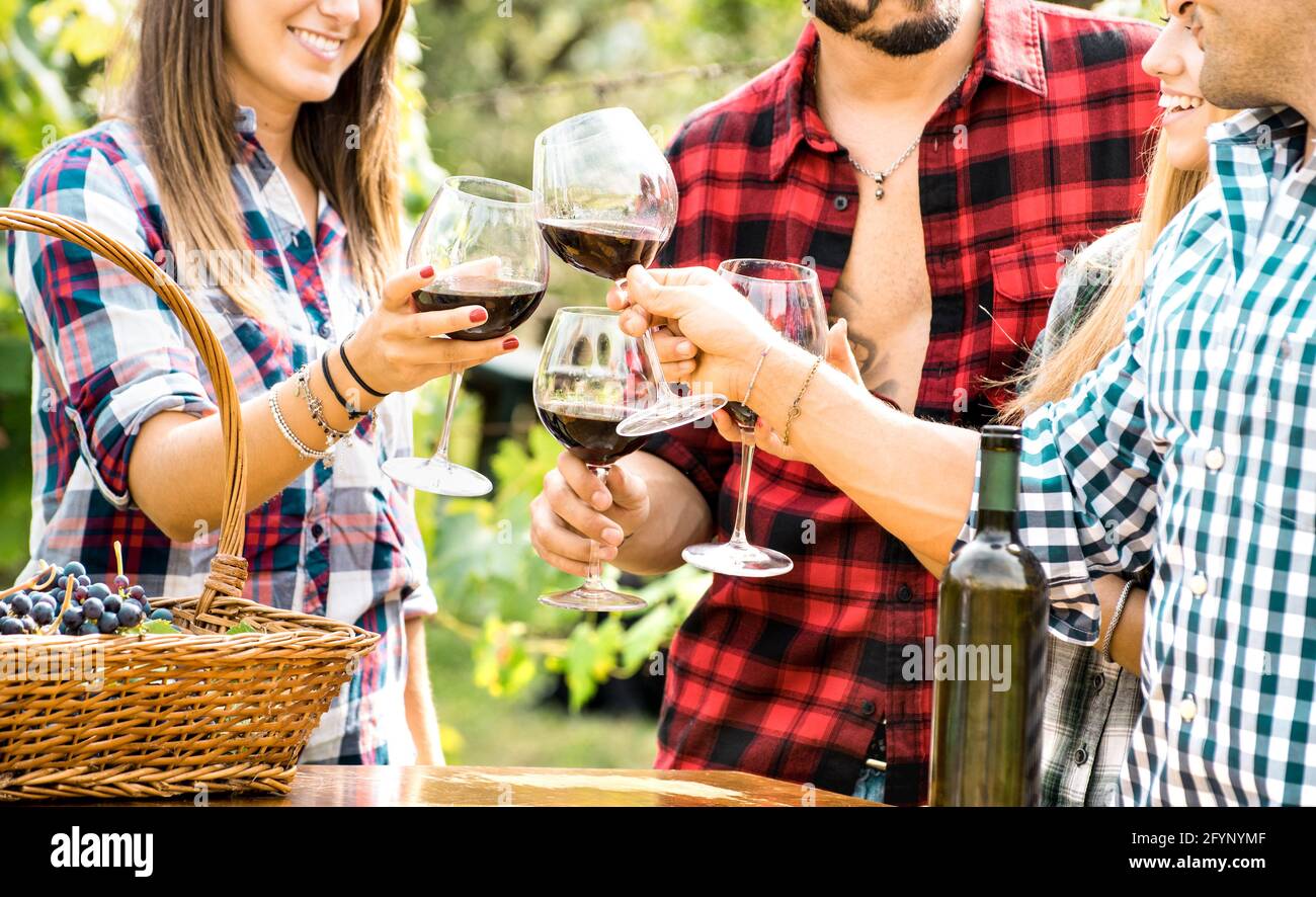 Giovani amici che si divertono all'aperto aggraffando bicchieri di vino rosso - Gente felice che mangia l'uva e che beve al momento della vendemmia dentro azienda agricola vigneto Foto Stock
