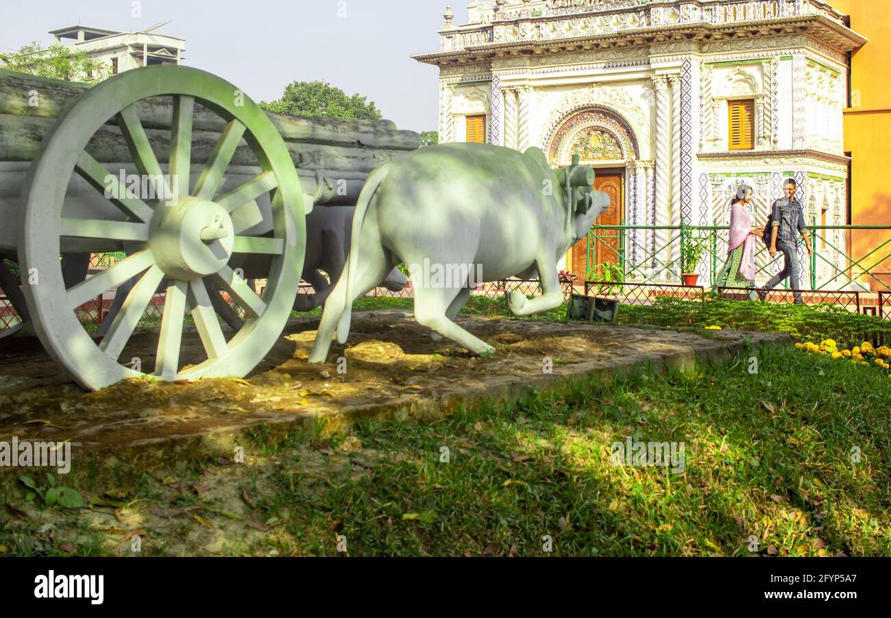 La statura della mucca tradizionale ho catturato questa immagine il 5 febbraio 2019 da Sonargaon, Bangladesh, Asia meridionale Foto Stock