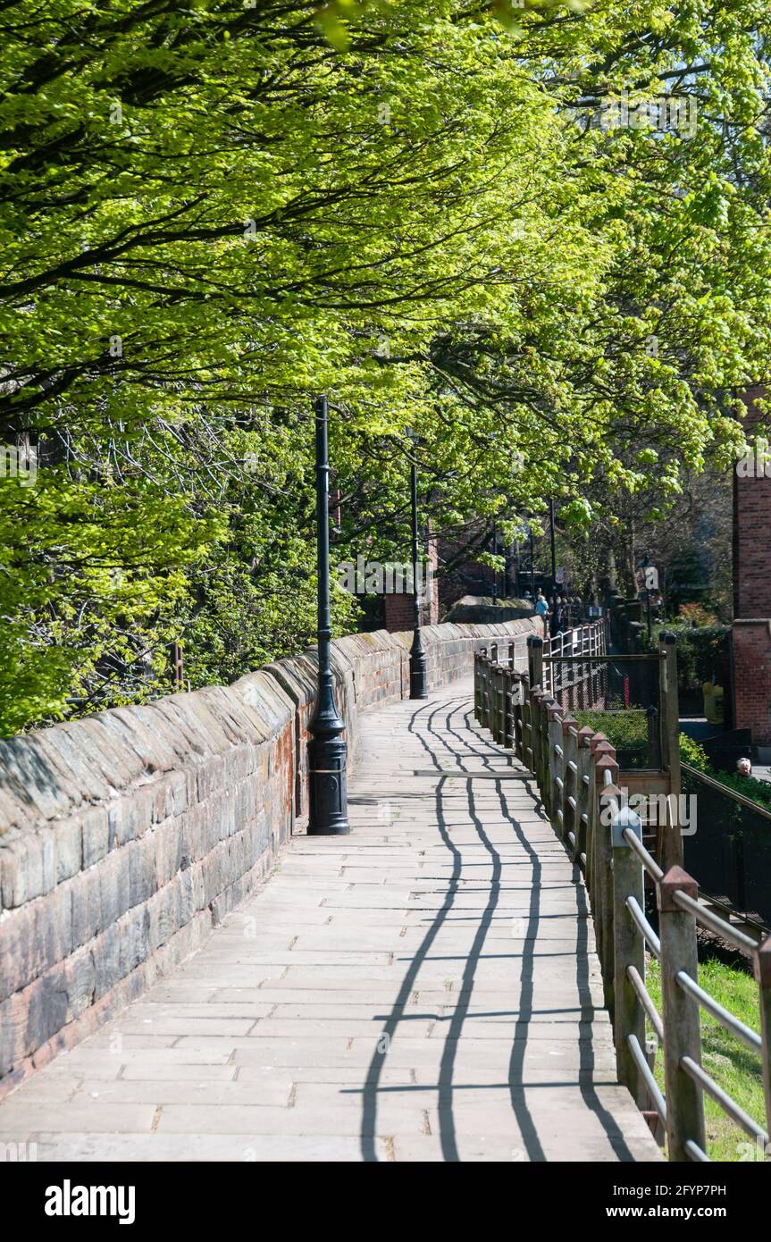 Lungo le mura della città, Chester, Regno Unito Foto Stock