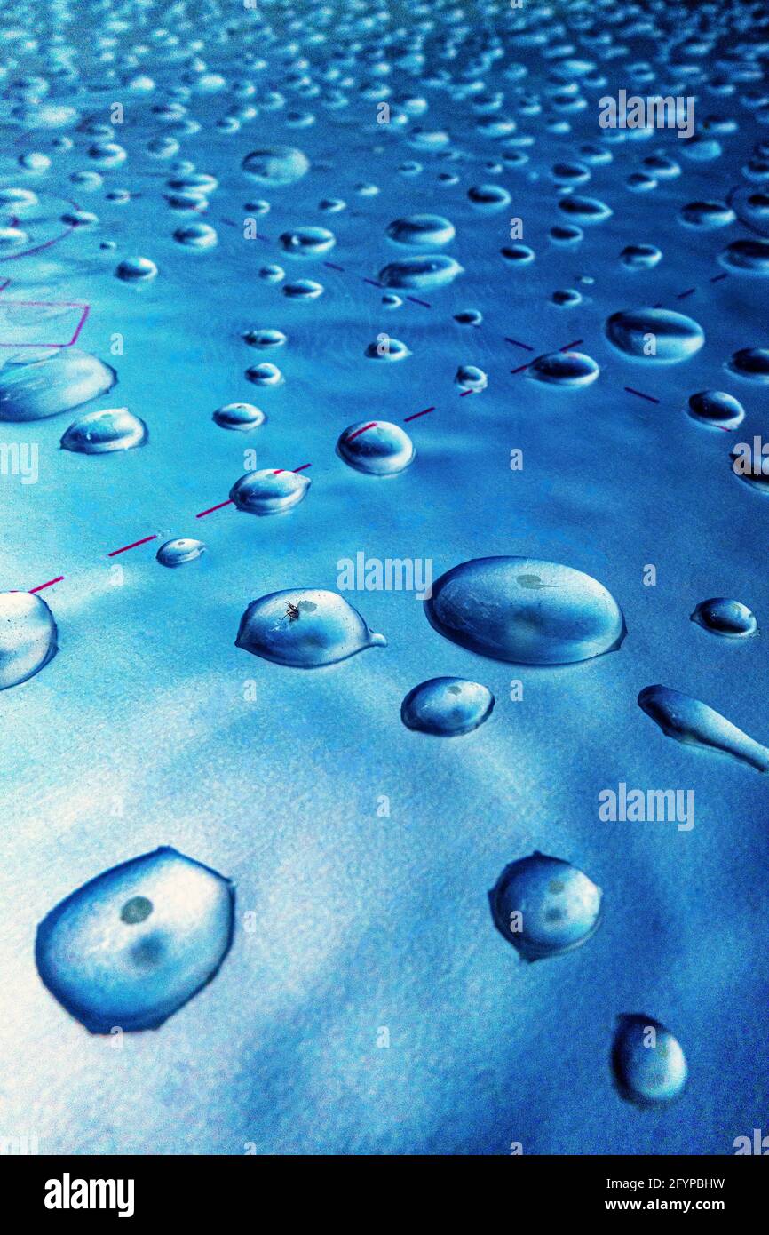 bolle d'acqua su una superficie riflettente Foto Stock