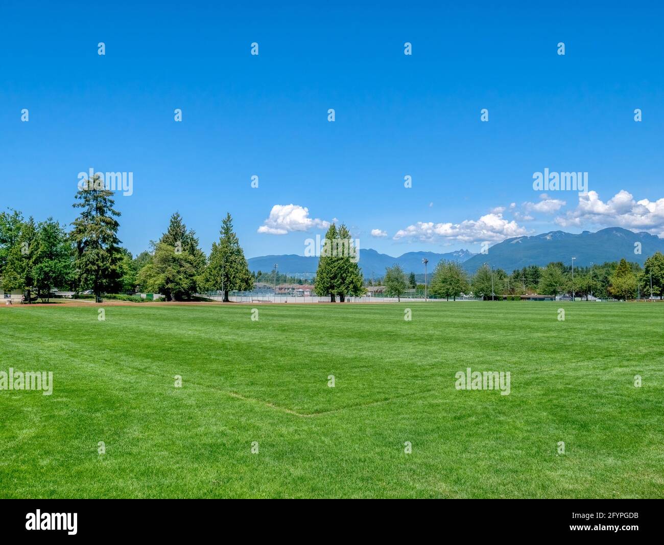 Campo di erba verde dello stadio ricreativo in una giornata di sole Foto Stock