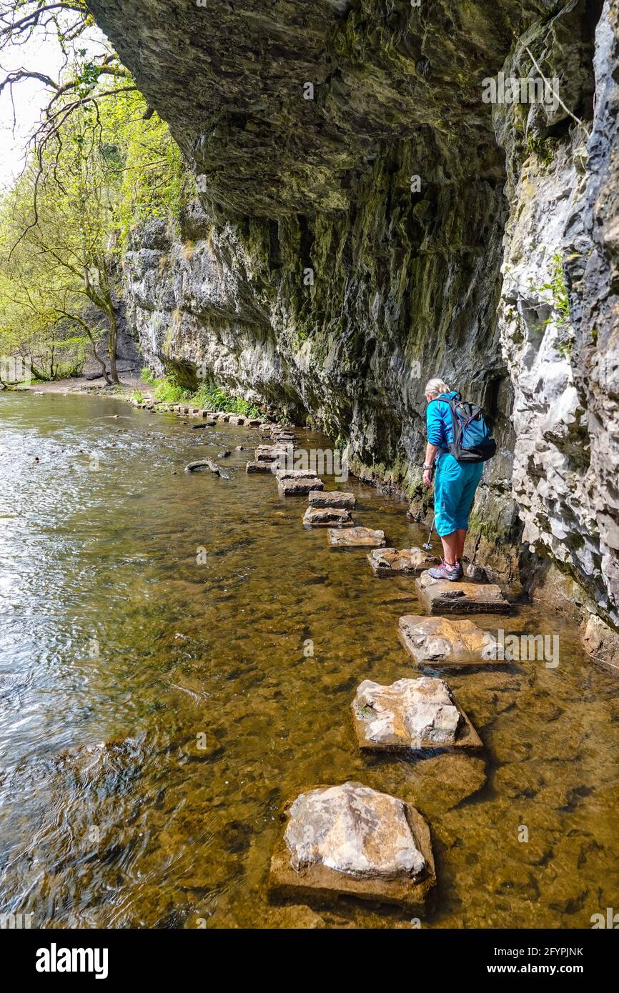 Single donna escursionista su pietre passo, che formano un percorso lungo il lato del fiume Wye, Cheedale, vicino a Buxton, Peak District, Derbyshire Foto Stock