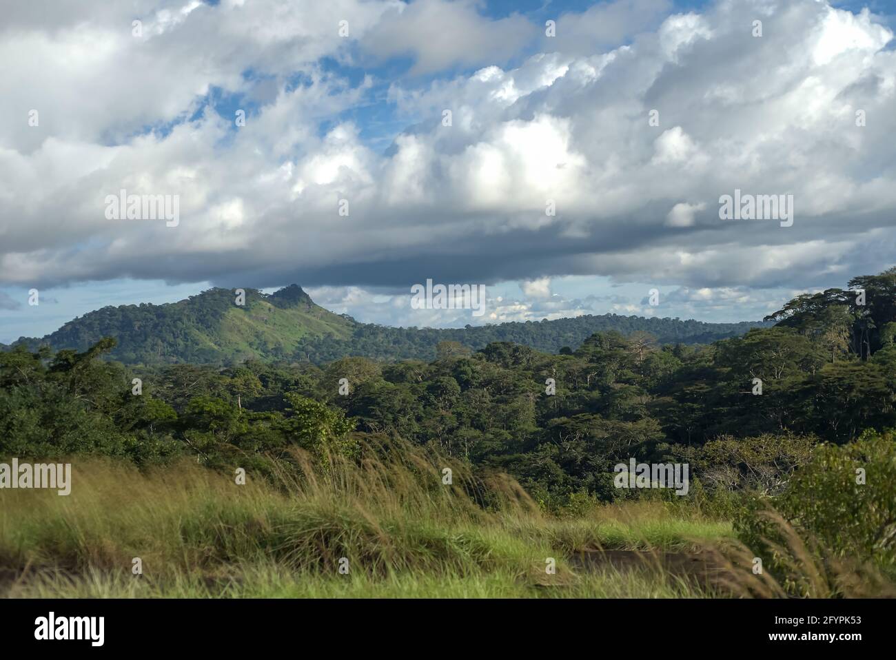 Colline nella foresta pluviale africana centrale sotto il cielo nuvoloso Foto Stock