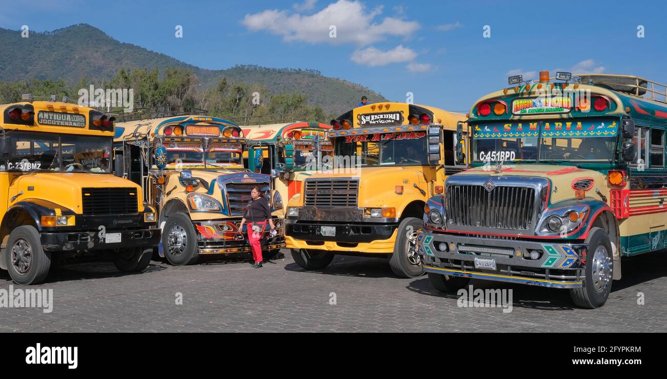 I colorati 'pulmann di pollo' guatemaltechi attendono i passeggeri al terminal degli autobus di Antigua Guatemala Foto Stock