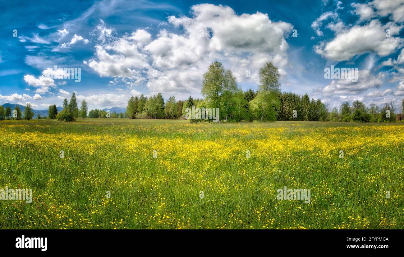 DE - BAVARIA: Brughiere a Benediktbeuern vicino a Bad Toelz (HDR-Fotografia) Foto Stock
