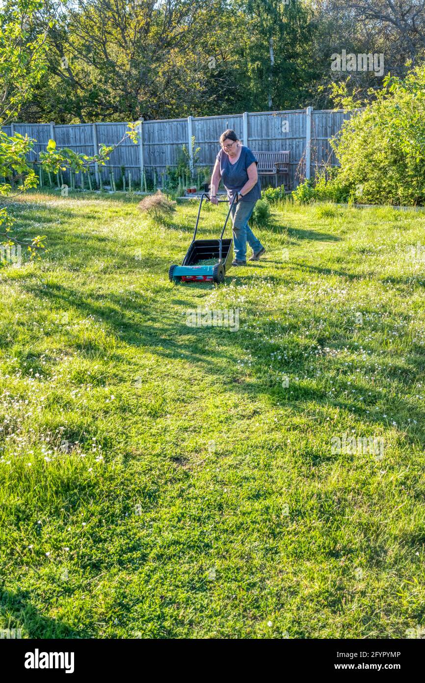 Donna che lascia l'erba in giardino crescere più a lungo per No Mow maggio e solo tagliando un breve percorso attraverso di esso. Consente fiori selvatici per fiorire e aiuta insetti. Foto Stock