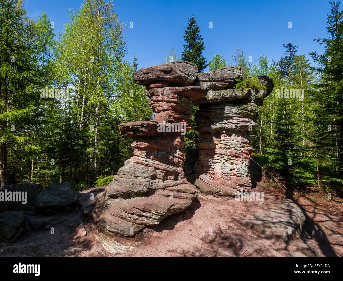 Cancello in pietra. Misteriosa struttura nella foresta dei Vosgi luogo di culto degli antichi Celti. Porte de Pierre Foto Stock