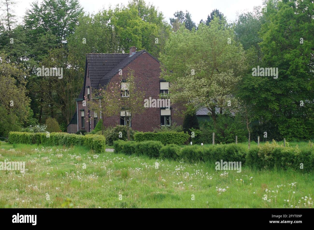 Una casa privata marrone di medie dimensioni in una lussureggiante foresta verde Foto Stock