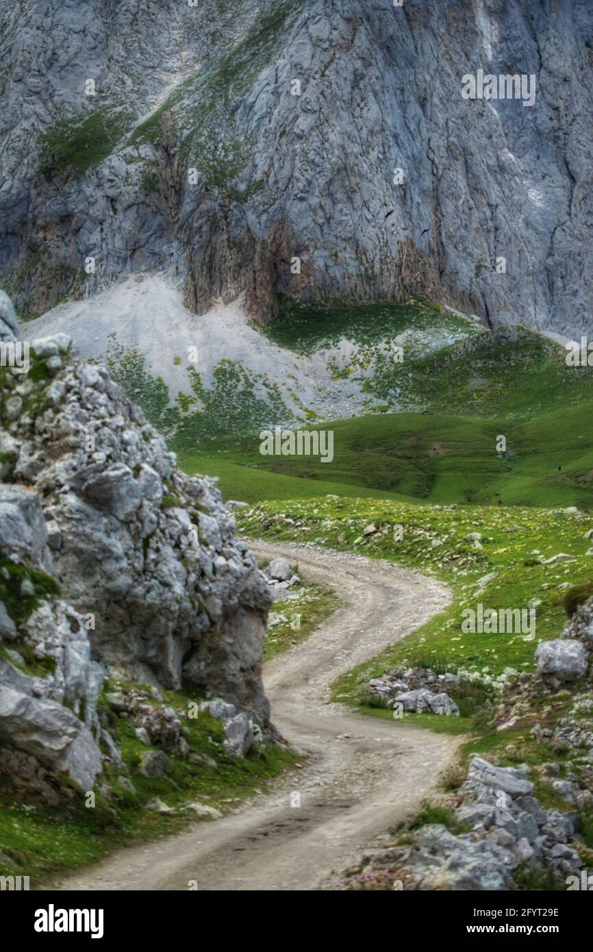 Una passerella nel Parco Naturale Fuentes Carrionas Foto Stock