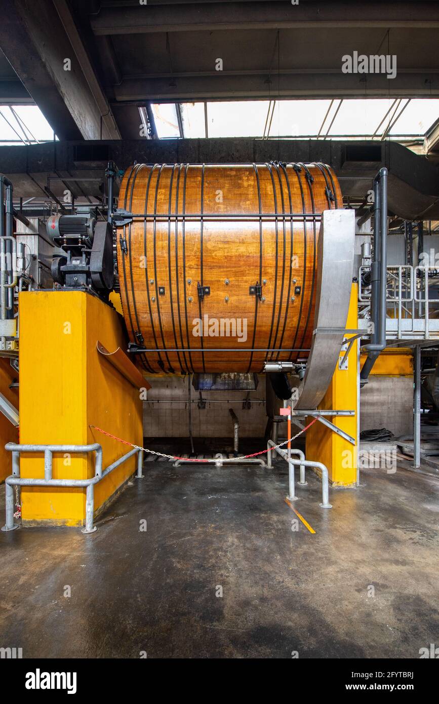 Conceria. Grandi fusti di legno per la concia di cuoio bovino. Foto Stock