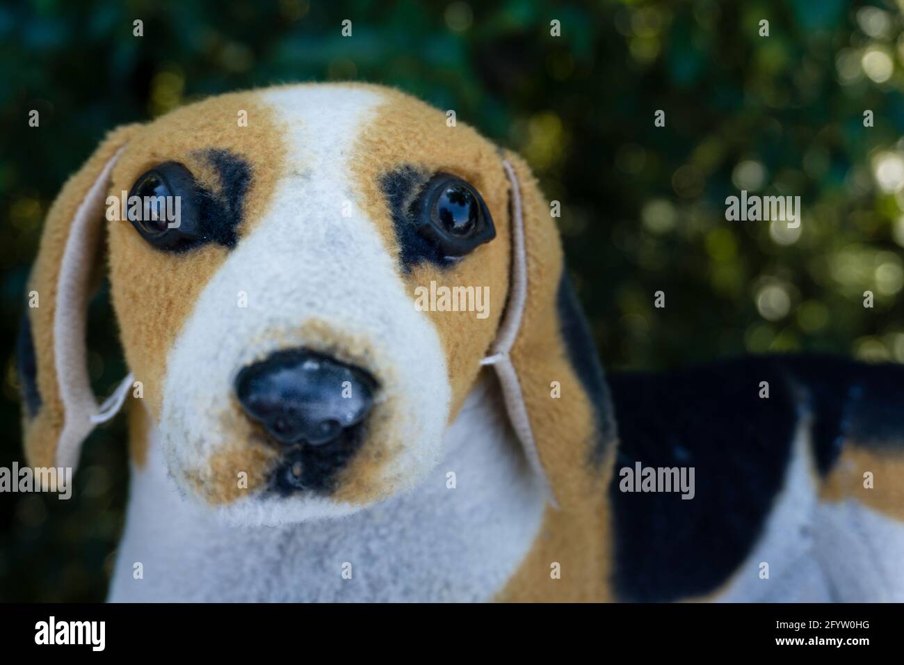 Un primo piano di un giocattolo morbido di un cane beagle. Foto Stock